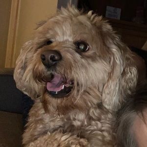 Meet your Posher, Brenda